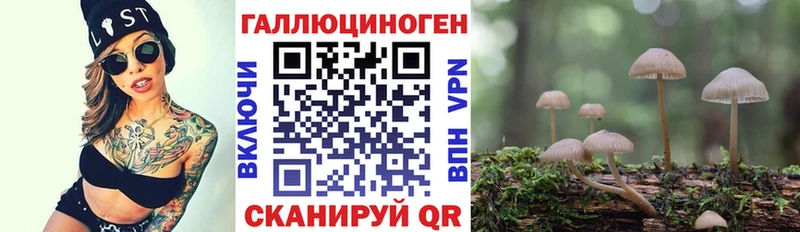 Купить  Асино  Псилоцибиновые грибы Magic Shrooms 