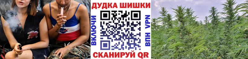 Бошки Шишки MAZAR  Купить  Асино 